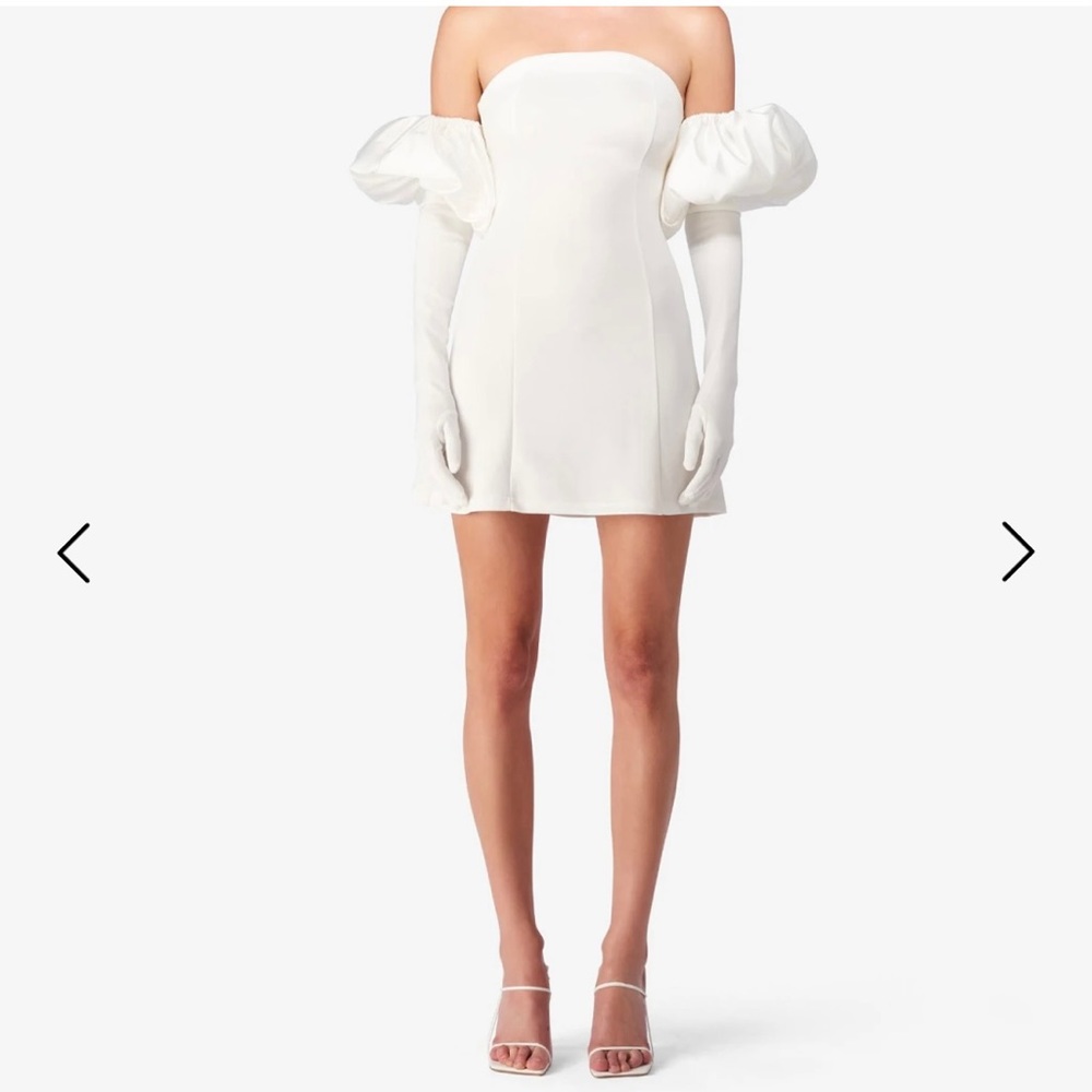WHITE WOLF AND BADGER DRESS WITH PUFF AND GLOVES